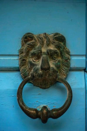 Guesthouse Lion